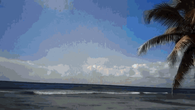 Beach Office