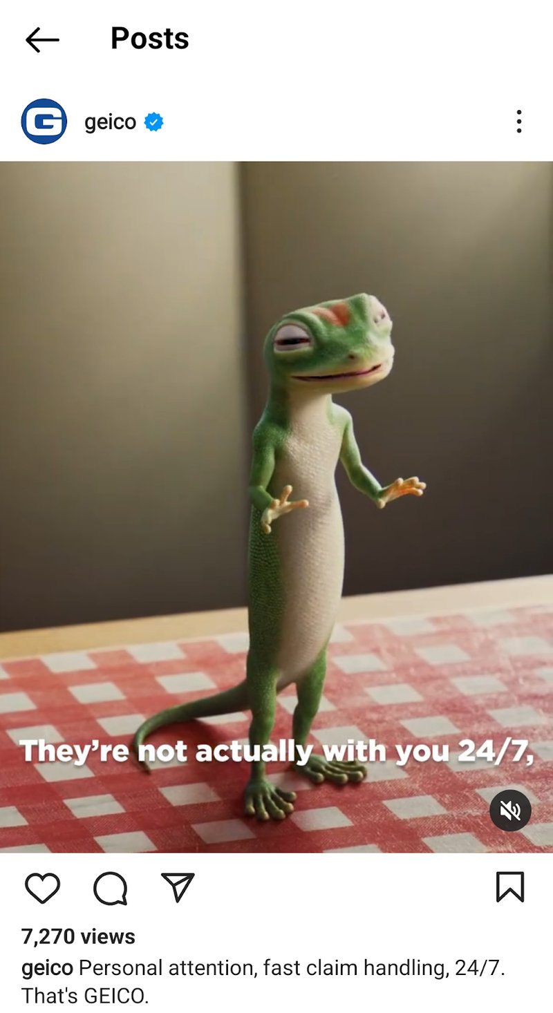 Geico