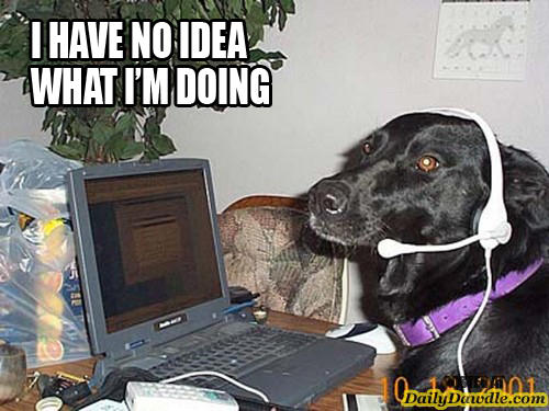 I have no idea what I'm doing